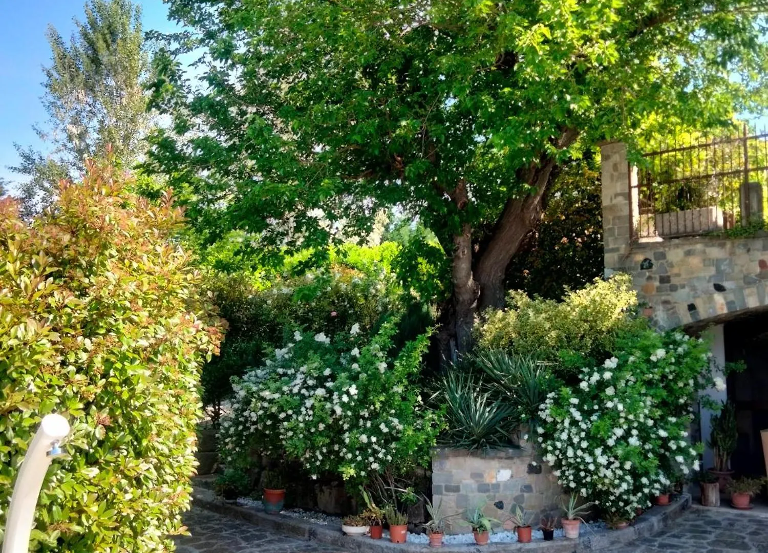 Bed & Breakfast B&B La Rasora Fornovo di Taro Italy